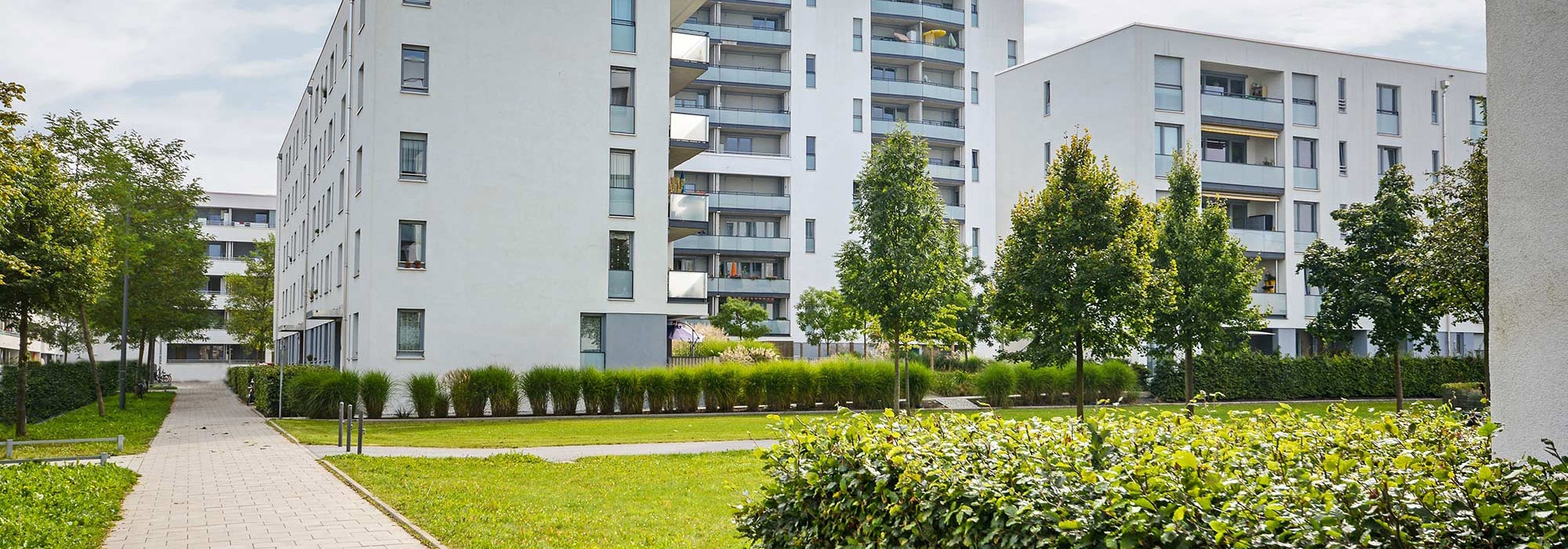 Gebäudereinigung Weber Wiener Neustadt Reinigung Betreuung